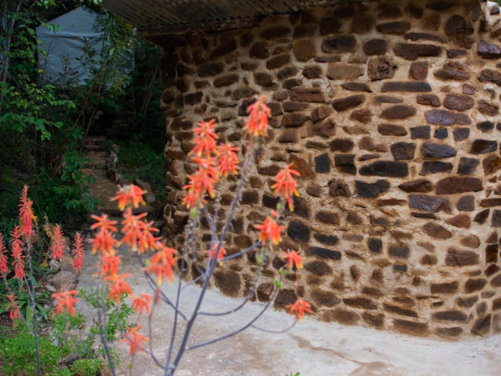 Riverbed Africa 莱登堡 外观 照片